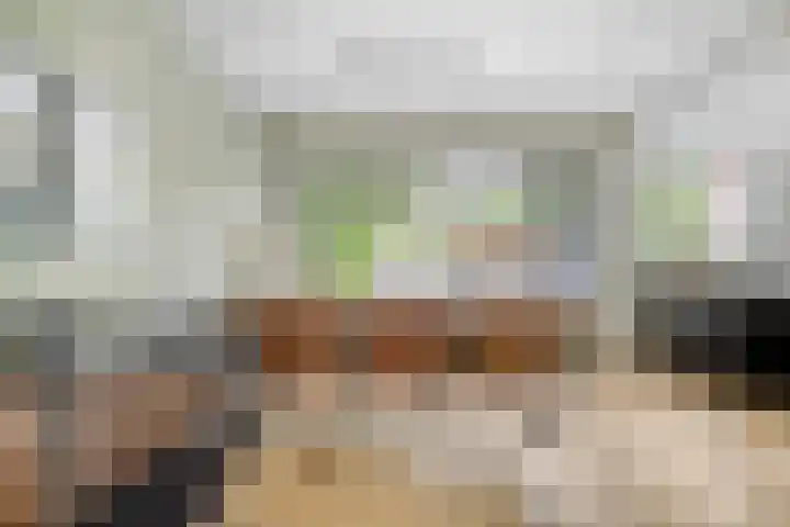 Mozartlaan 43 Drunen thumbnail 4