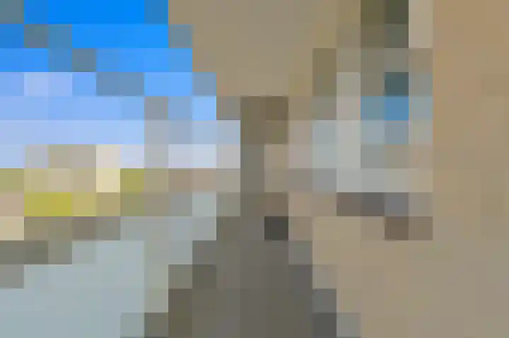 Mozartlaan 434 Den Haag thumbnail 18