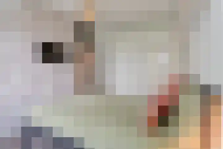 Mozartlaan 437 Tilburg thumbnail 17