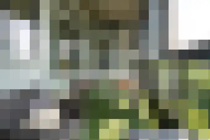 Mozartlaan 437 Tilburg thumbnail 24