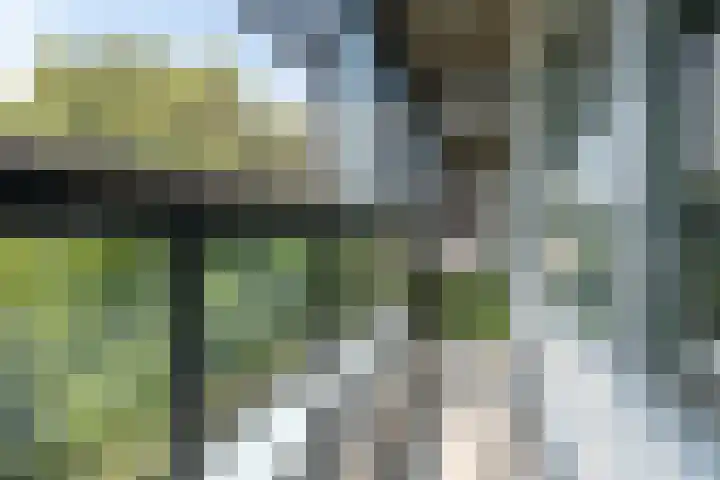 Mozartlaan 437 Tilburg thumbnail 26