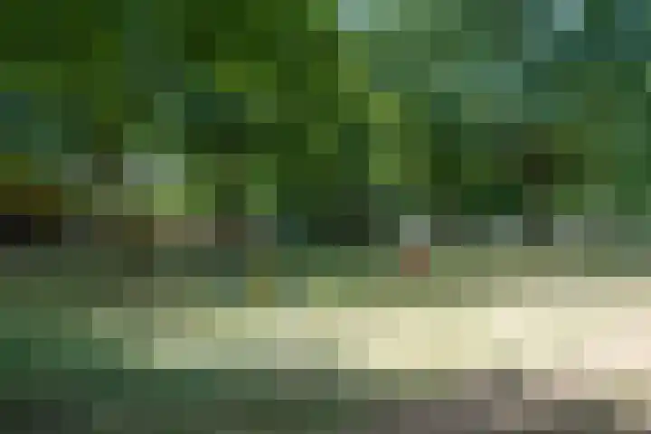 Mozartlaan 437 Tilburg thumbnail 35