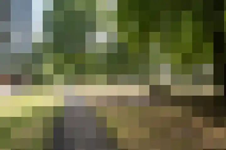 Mozartlaan 437 Tilburg thumbnail 36