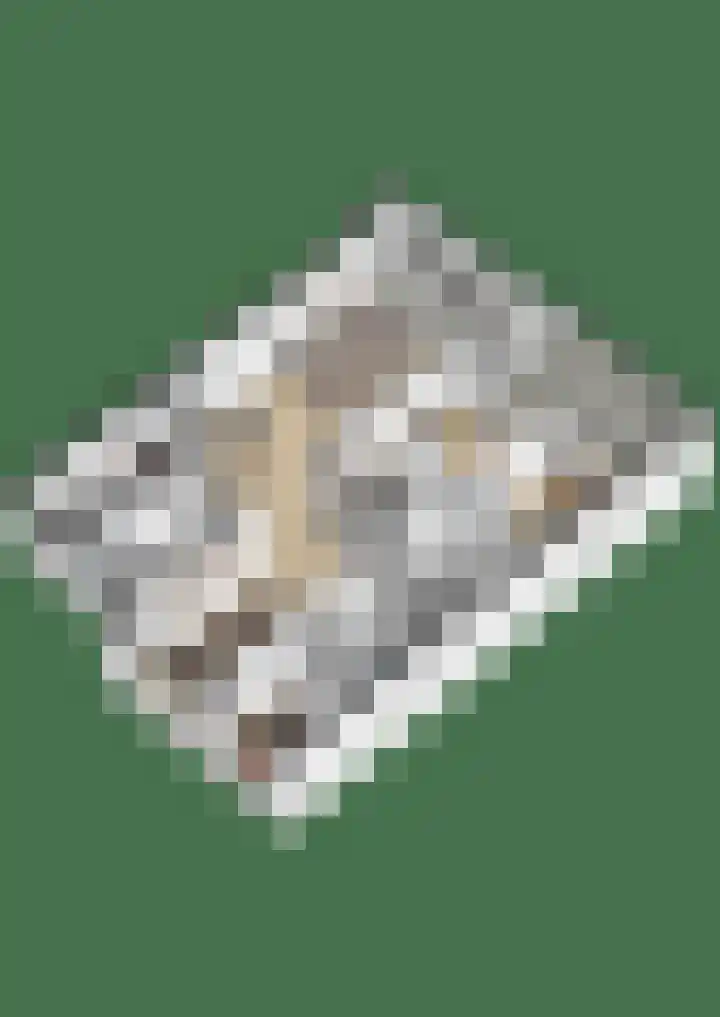 Mozartlaan 437 Tilburg thumbnail 39