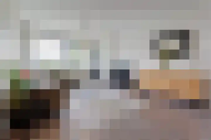 Mozartlaan 437 Tilburg thumbnail 4