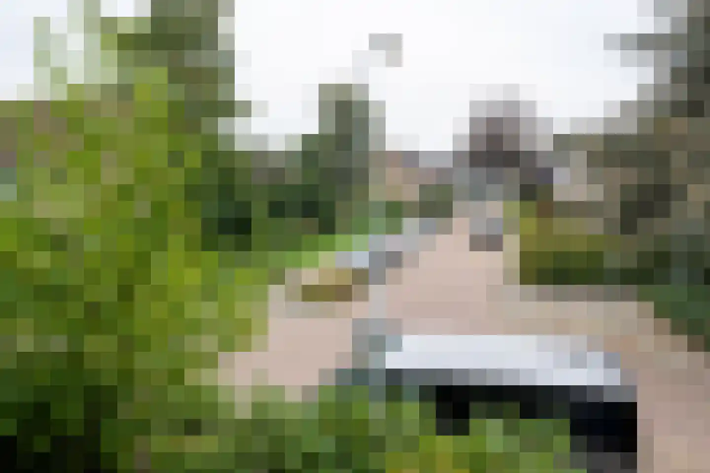 Mozartlaan 44 Leidschendam thumbnail 38