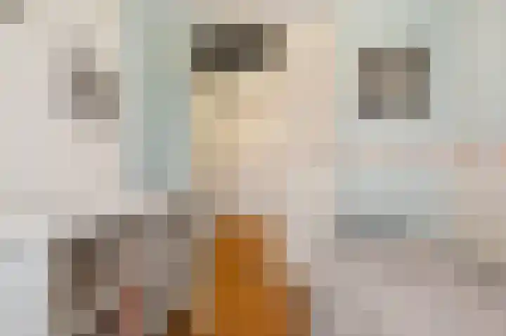 Mozartlaan 443 Tilburg thumbnail 17
