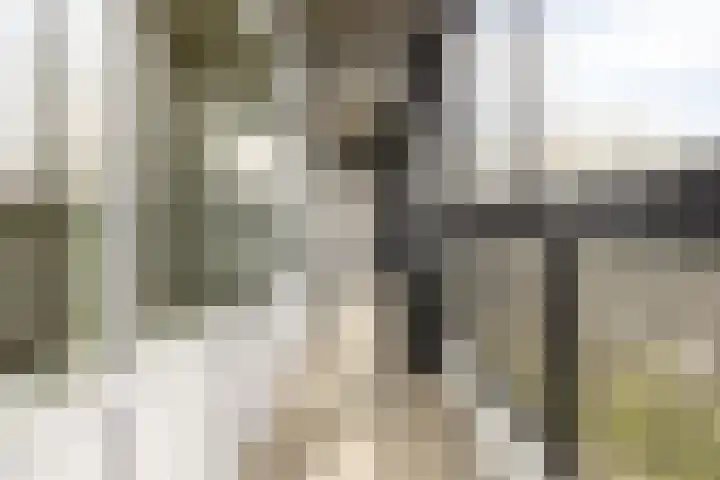 Mozartlaan 443 Tilburg thumbnail 39