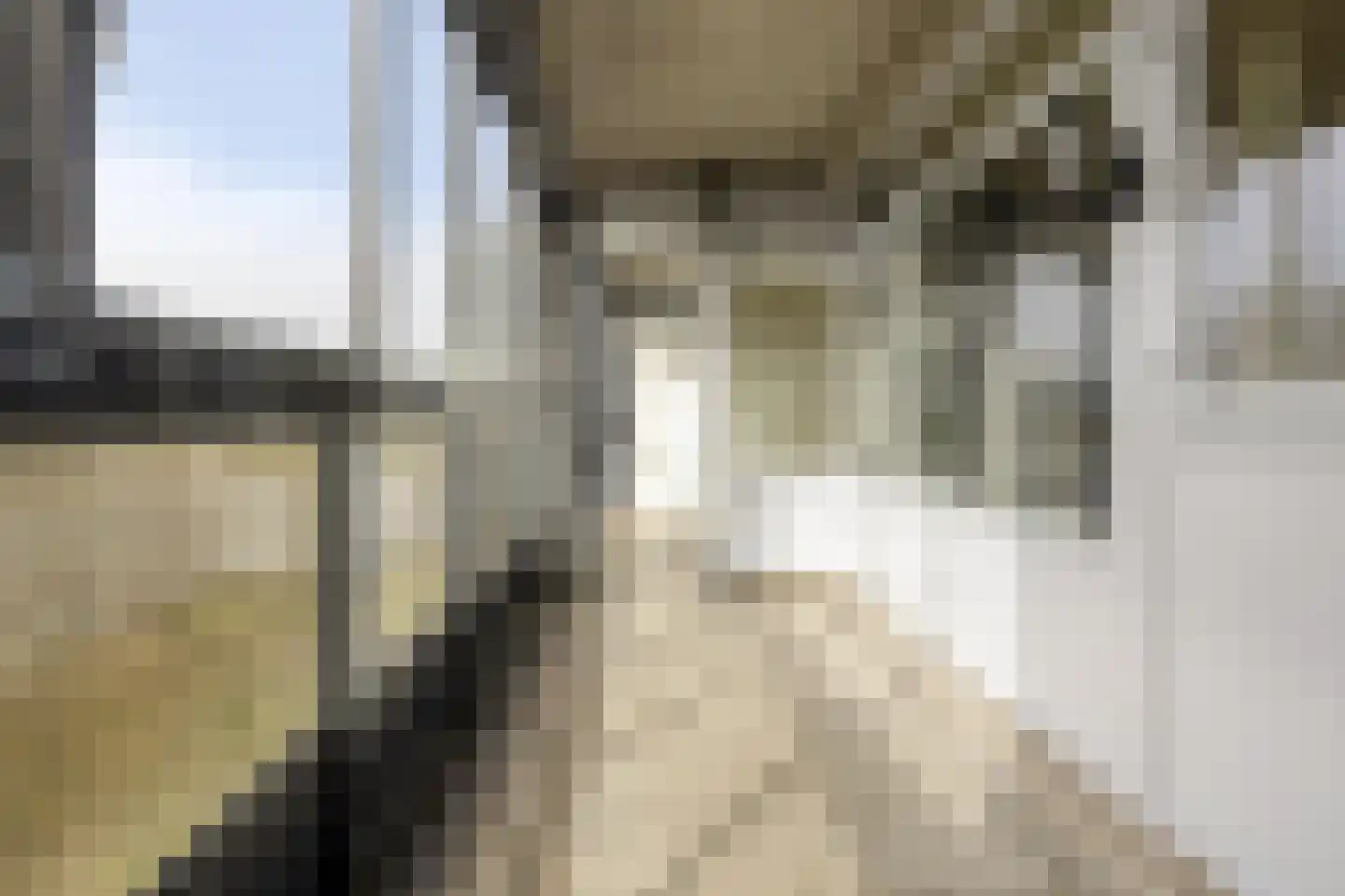 Mozartlaan 443 Tilburg thumbnail 40