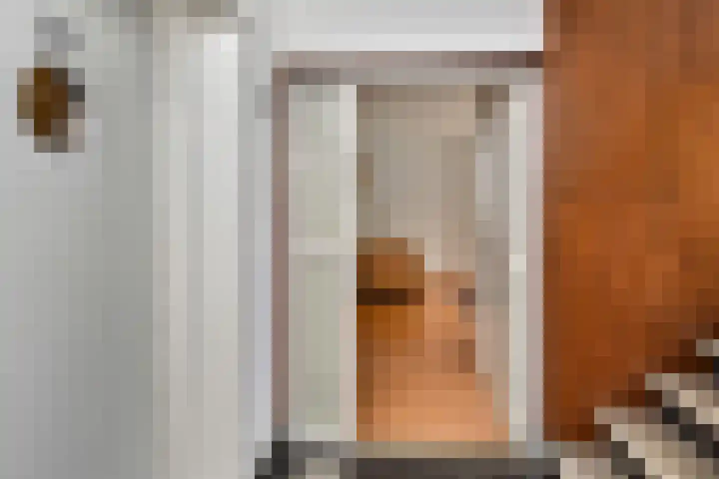 Mozartlaan 447 Den Haag thumbnail 5