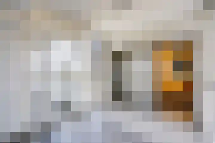 Mozartlaan 448 Den Haag thumbnail 30