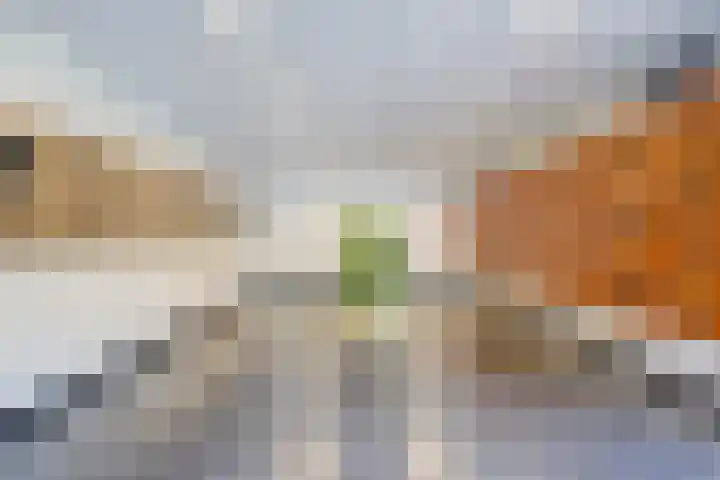 Mozartlaan 448 Den Haag thumbnail 5