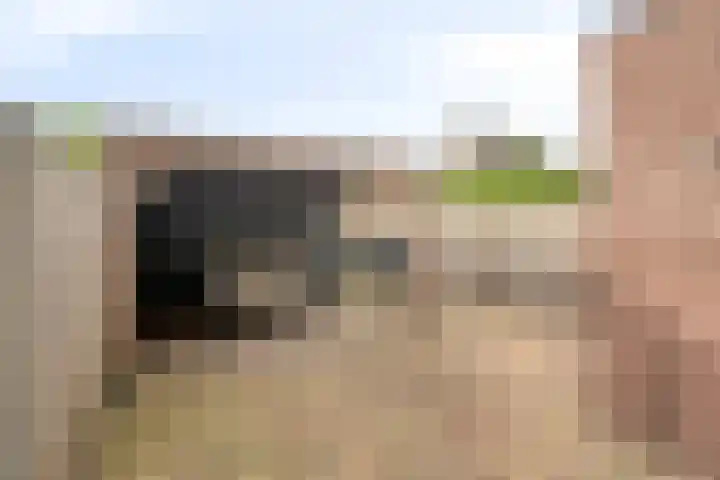 Mozartlaan 45 Nunspeet thumbnail 39