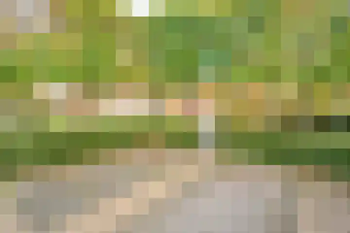 Mozartlaan 45 Nunspeet thumbnail 42