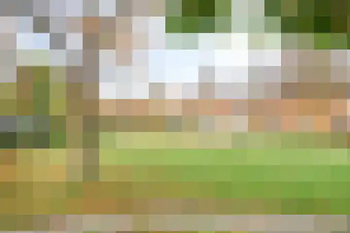 Mozartlaan 45 Nunspeet thumbnail 43