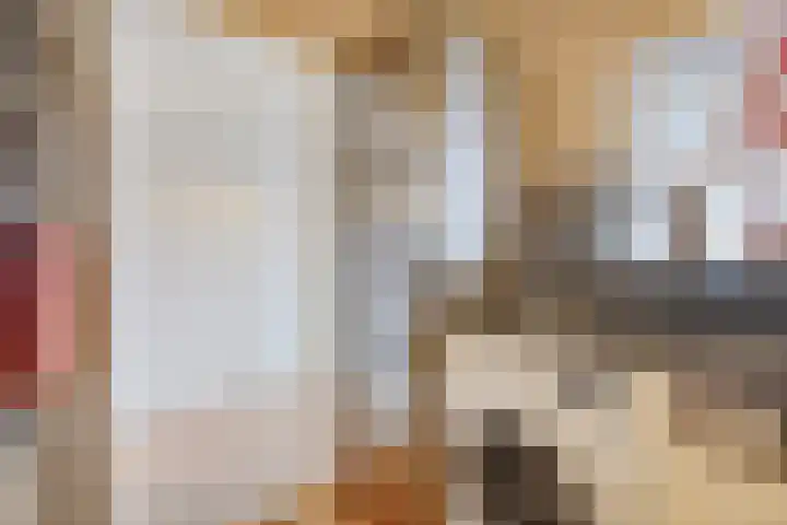 Mozartlaan 452 Den Haag thumbnail 16