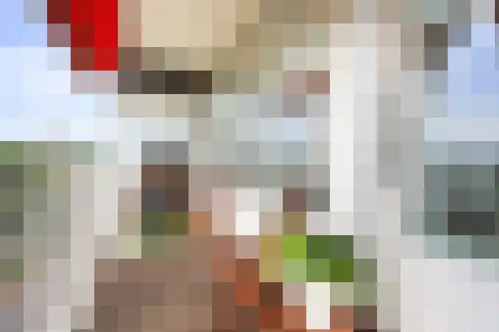 Mozartlaan 452 Den Haag thumbnail 26