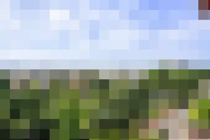 Mozartlaan 452 Den Haag thumbnail 27