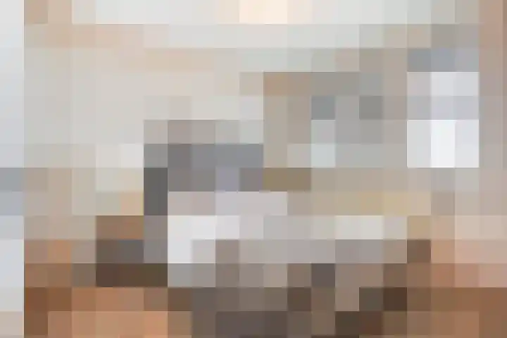 Mozartlaan 452 Den Haag thumbnail 32
