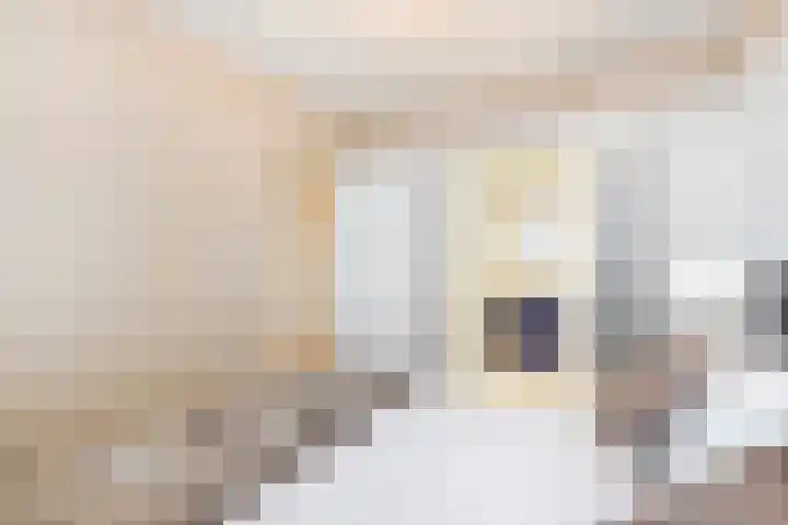 Mozartlaan 452 Den Haag thumbnail 34