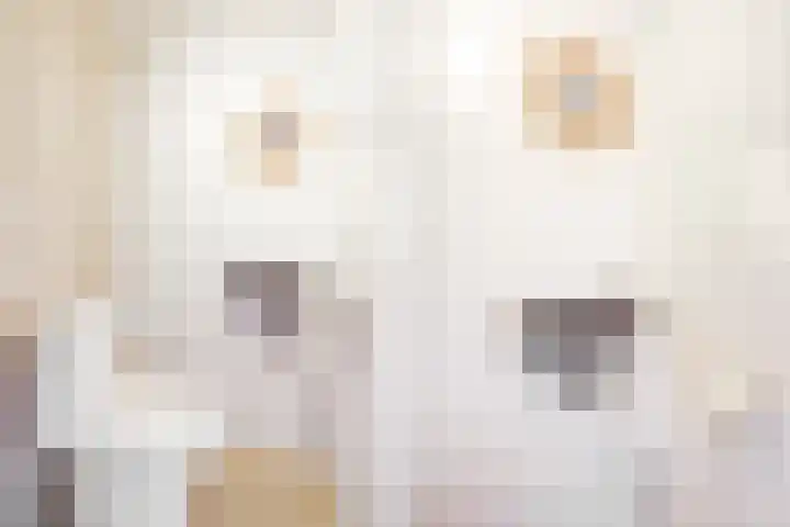 Mozartlaan 452 Den Haag thumbnail 37
