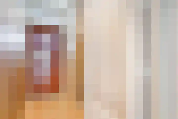 Mozartlaan 452 Den Haag thumbnail 38