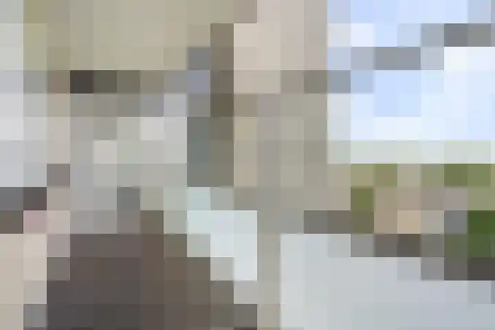 Mozartlaan 452 Den Haag thumbnail 39
