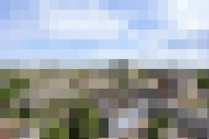 Mozartlaan 452 Den Haag thumbnail 9