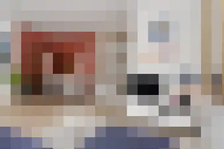 Mozartlaan 455 Den Haag thumbnail 14