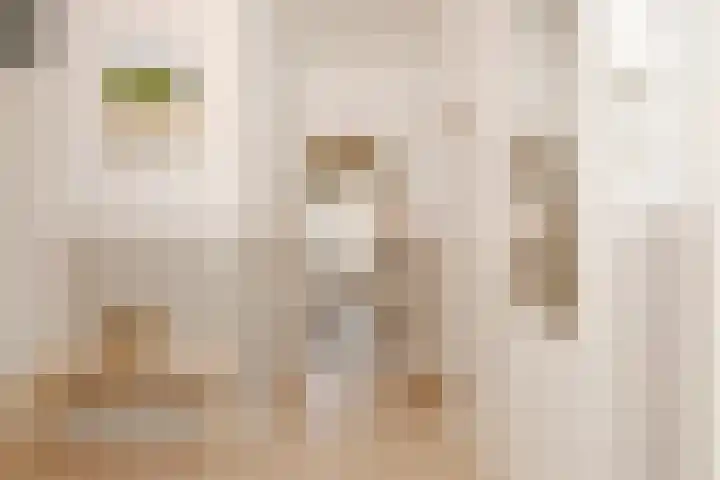 Mozartlaan 455 Den Haag thumbnail 17