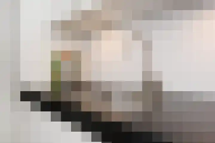Mozartlaan 455 Den Haag thumbnail 22