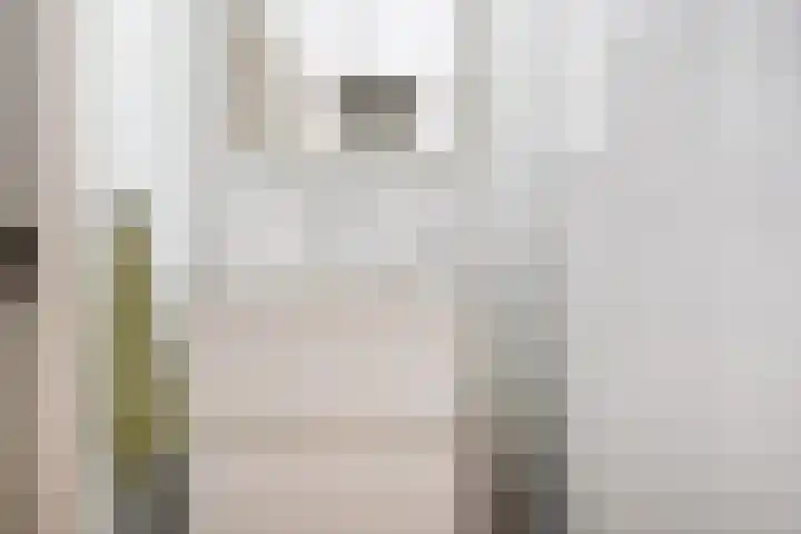 Mozartlaan 455 Den Haag thumbnail 26