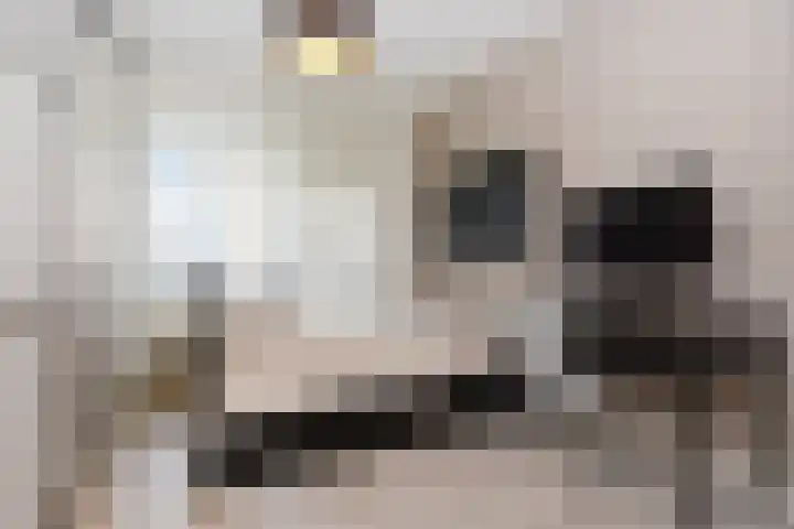 Mozartlaan 455 Den Haag thumbnail 28