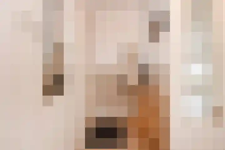 Mozartlaan 455 Den Haag thumbnail 32