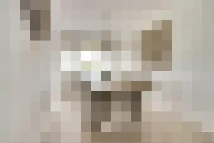 Mozartlaan 455 Tilburg thumbnail 10