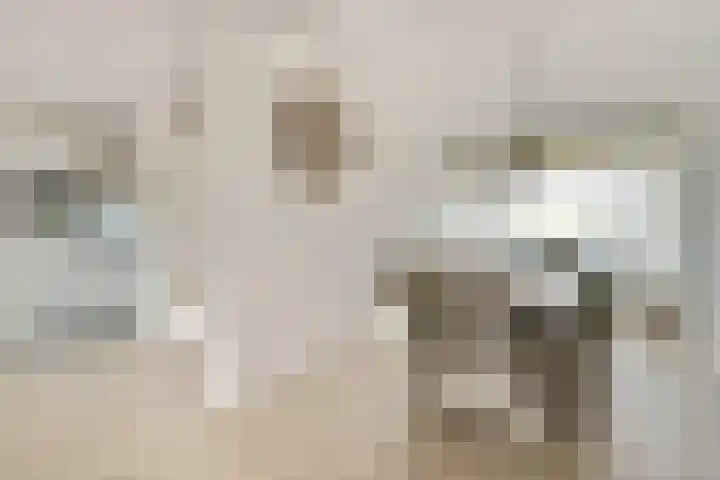 Mozartlaan 455 Tilburg thumbnail 11