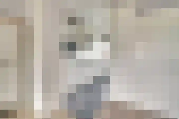 Mozartlaan 455 Tilburg thumbnail 13