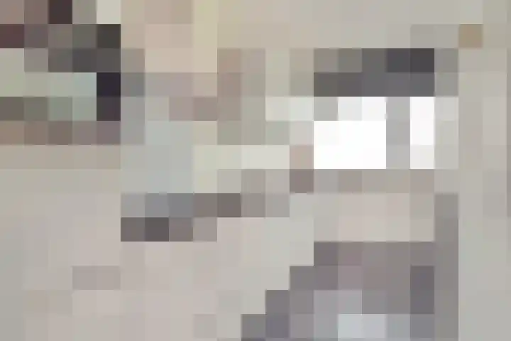 Mozartlaan 455 Tilburg thumbnail 14
