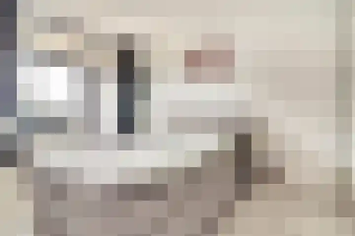 Mozartlaan 455 Tilburg thumbnail 17