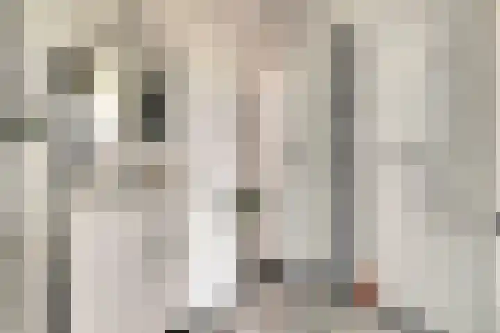 Mozartlaan 455 Tilburg thumbnail 21