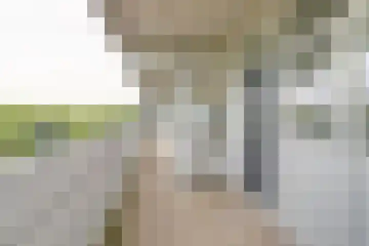 Mozartlaan 455 Tilburg thumbnail 27
