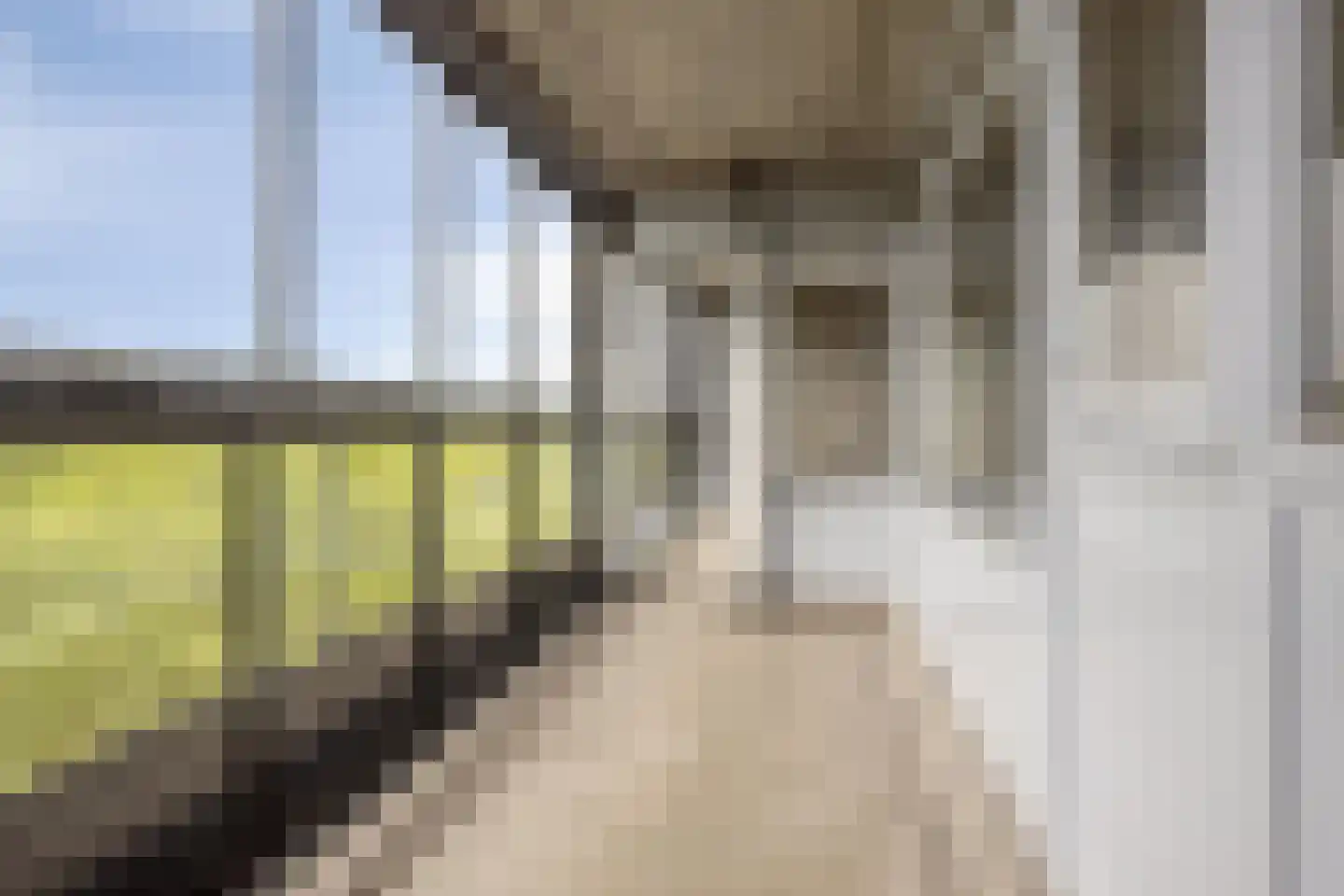Mozartlaan 459 Tilburg thumbnail 26