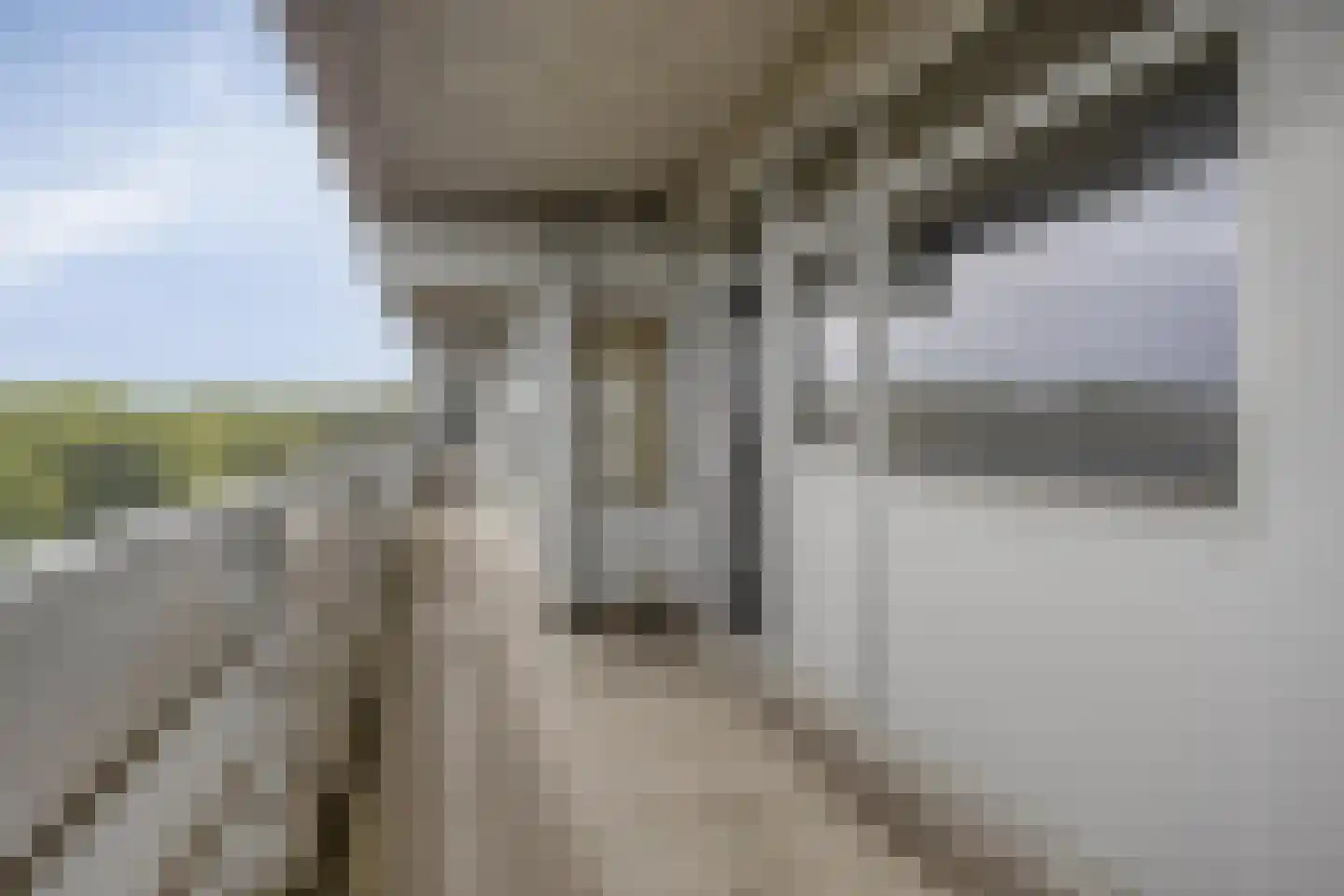 Mozartlaan 459 Tilburg thumbnail 4