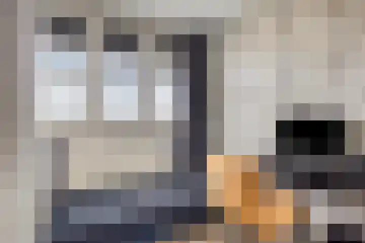 Mozartlaan 46 Den Haag thumbnail 10