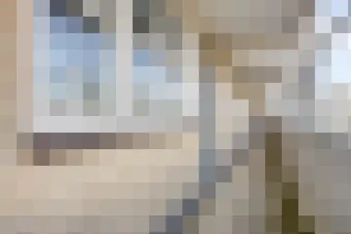 Mozartlaan 46 Den Haag thumbnail 16