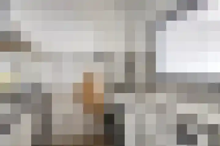 Mozartlaan 46 Den Haag thumbnail 7