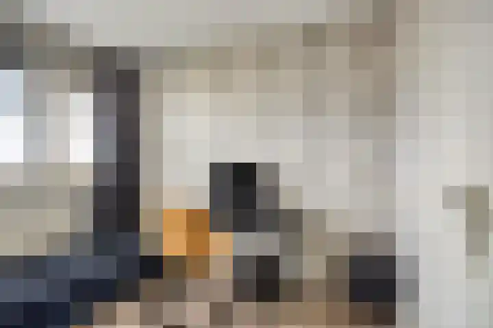 Mozartlaan 46 Den Haag thumbnail 9