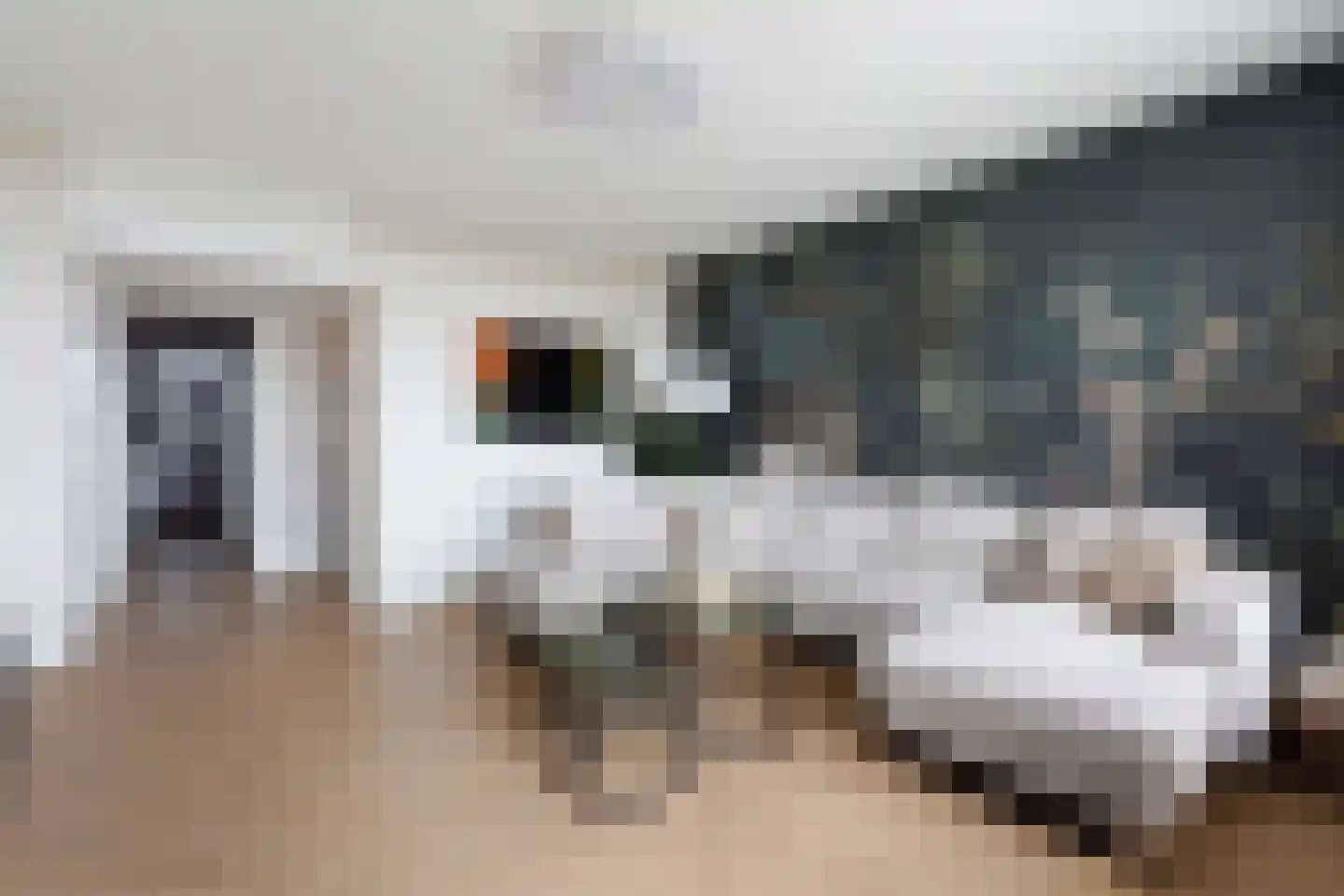 Mozartlaan 468 Den Haag thumbnail 15