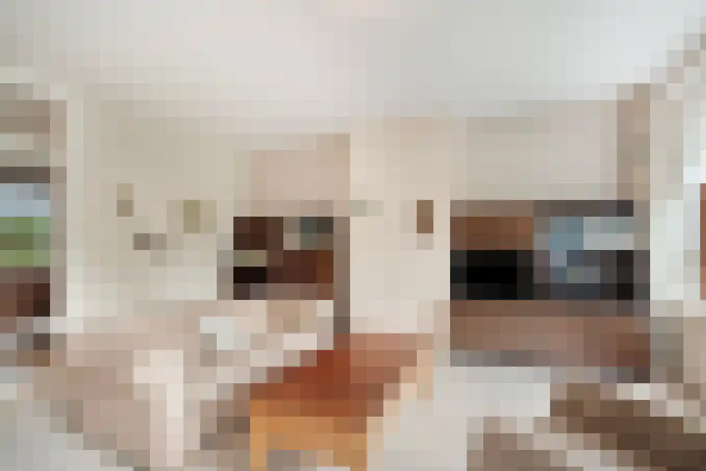 Mozartlaan 469 Den Haag thumbnail 15