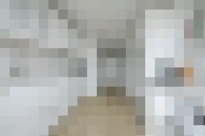 Mozartlaan 48 Breda thumbnail 31
